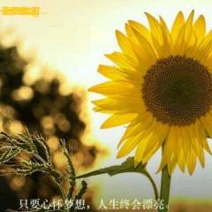 高考數學分享者